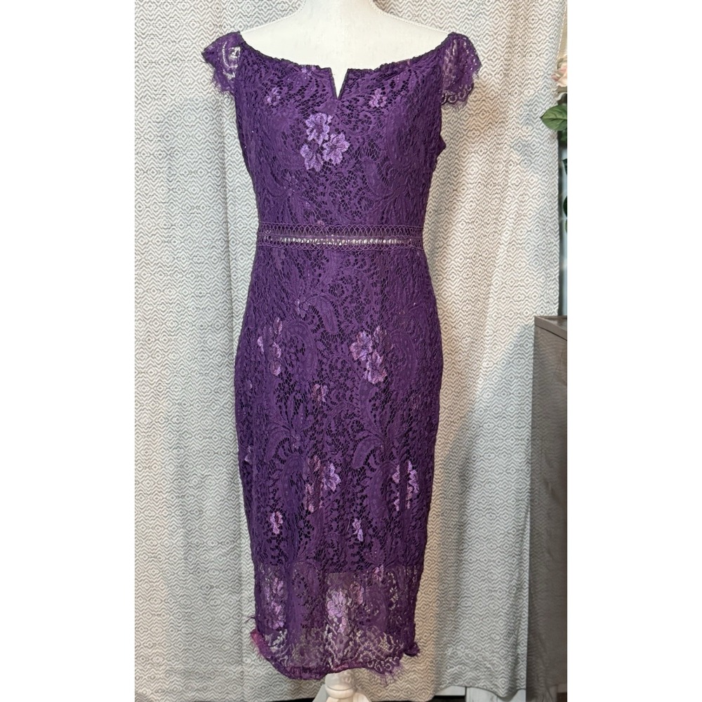 Allandwell Purple Lace Dress Sheer Peak A Boo Mid Section Gorgeous Strechy XL